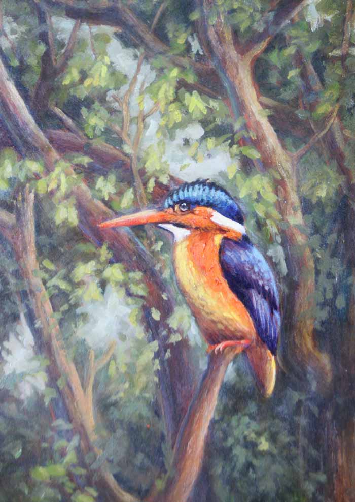 Malachite kingfisher