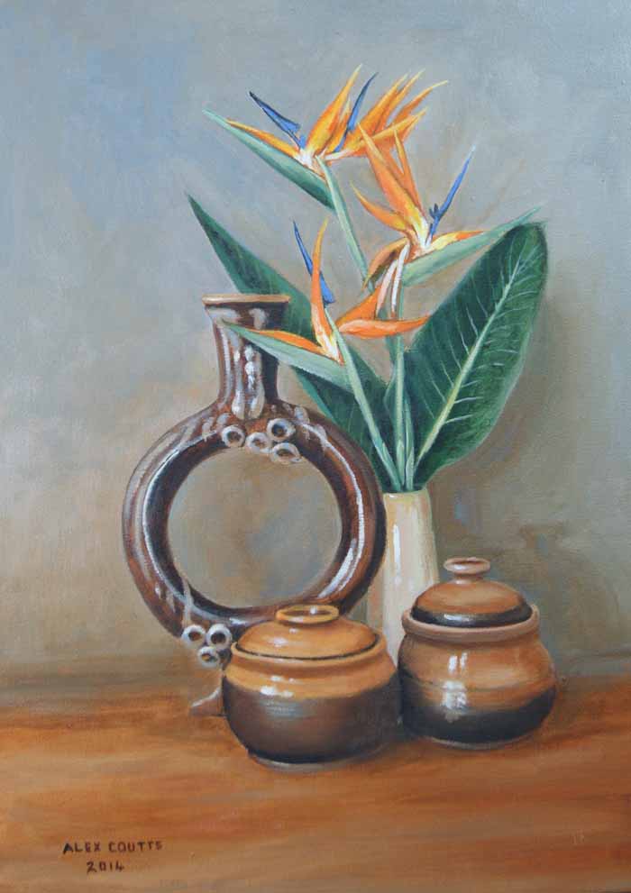 Strelitzias with brown pots Strelitzias with brown pots